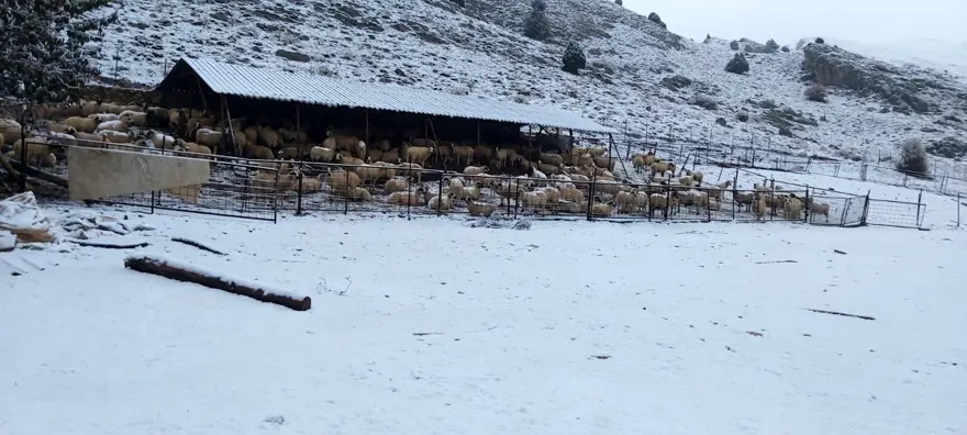 Antalya Kaş'a yılın ilk karı 1