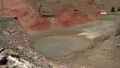 Kuraklık: Can çekişen balıklara can suyu verildi