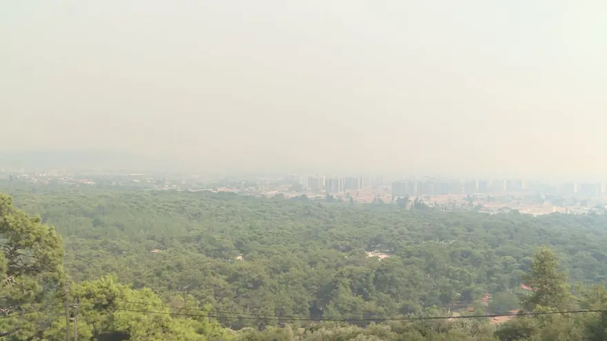 Antalya Manavgat'ta orman yangını 12