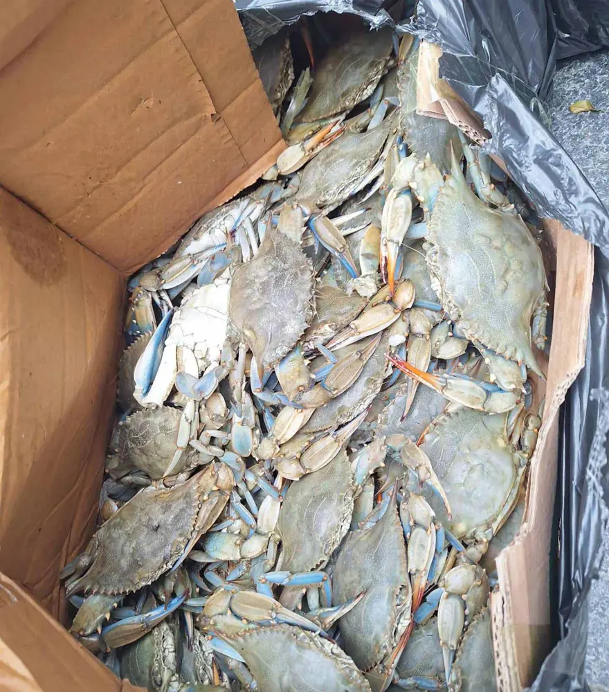 OTOBÜS FİRMASINA CEZA 1