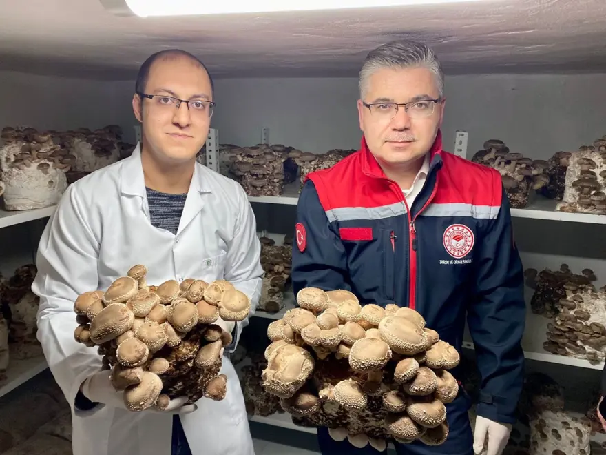 BÖLGE EKONOMİSİNE KATMA DEĞER 4