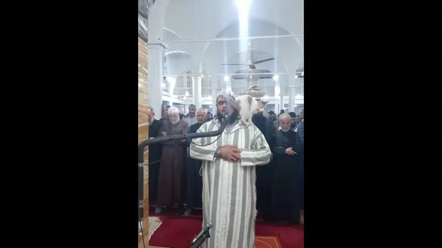 Teravih namazı kıldıran imamın kedi şefkati viral oldu 10