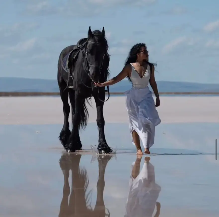 BAŞSAVCILIK TAKİPSİZLİK KARARI VERDİ 2 BAŞSAVCILIK TAKİPSİZLİK KARARI VERDİ 2