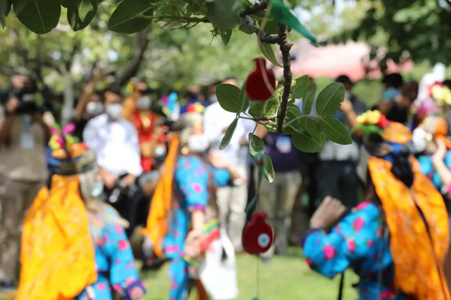 GastroAntep Festivali, fıstık hasadı ve şire yapımı ile başladı 6