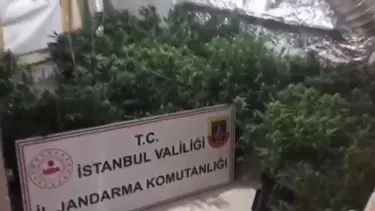 “Hobi bahçesi” dediler, uyuşturucu serası çıktı