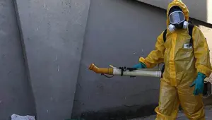 Zika virüsü artık dünyayı tehdit etmiyor