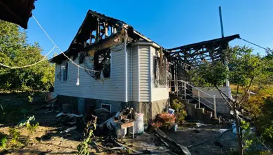 Mersin'de müstakil ev yangını: Ev sahibi canını zor kurtardı