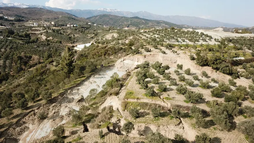 Depremin ardından Hatay'daki zeytinliklerde dev yarıklar 11