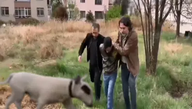 430 bin lira değerindeki şampiyon köpeği çalan hırsız yakalandı