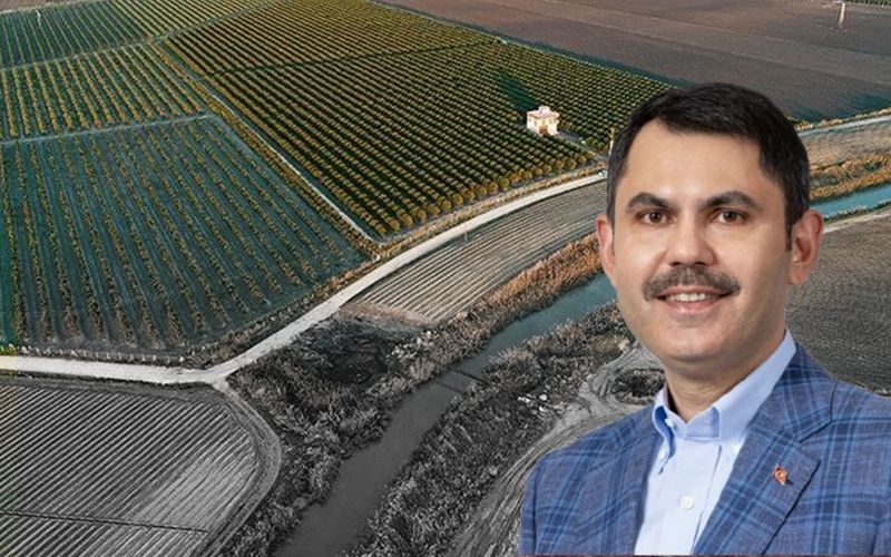 SON DAKİKA | Orman vasfını kaybetmiş 2B arazilerle ilgili müjde