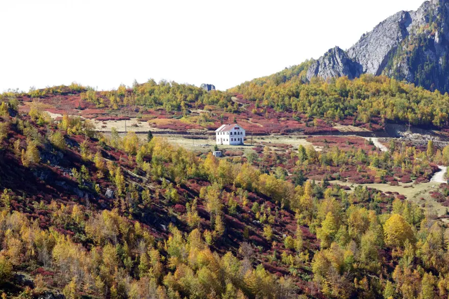 Trabzon-Giresun sınırındaki Sis Dağı'nda güz zamanı 10