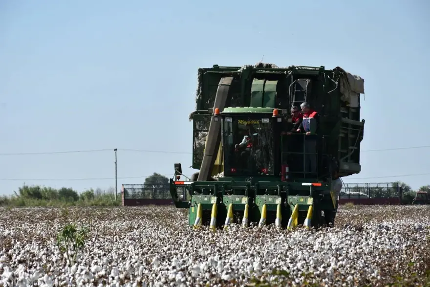 Üretim rakamları dikkat çekti: Hasadı sürüyor 2