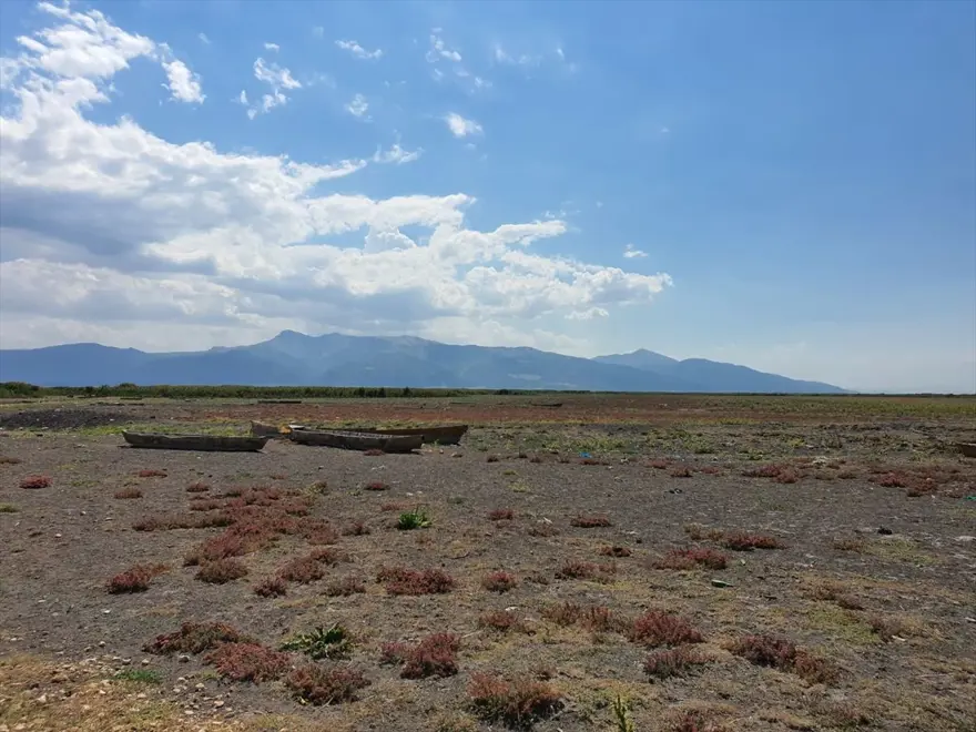 Konya'daki araştırmaya göre, vahşi sulama Akşehir ve Eber göllerini yok edebilir 5