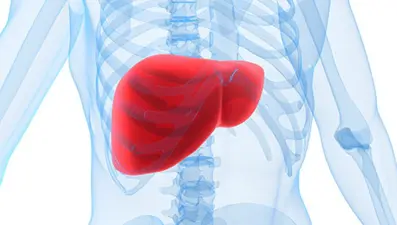 Karaciğer yağlanması nedir?Karaciğer yağlanmasına karşı 8 etkili önlem (Günde 1 fincan kahve için)