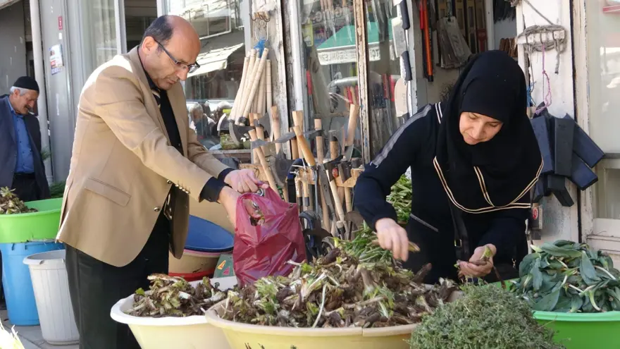 Dağlardan toplanıyor, tezgahta satılıyor: Hem geçim hem de şifa kaynağı 4