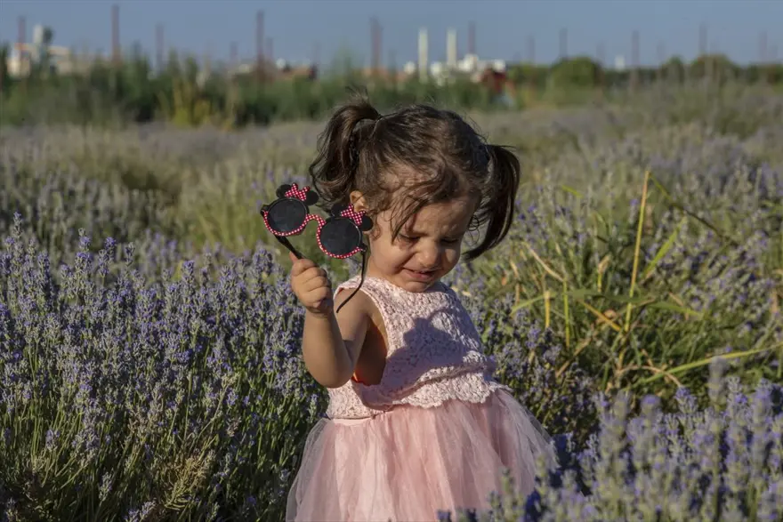 Diyarbakır'ın yeni cazibe merkezi: Lavanta bahçeleri 12