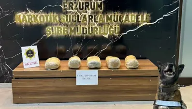 Erzurum'da 5 kilo 200 gram skunk maddesi ele geçirildi