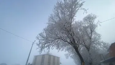 Göle eksi 18 dereceyi gördü