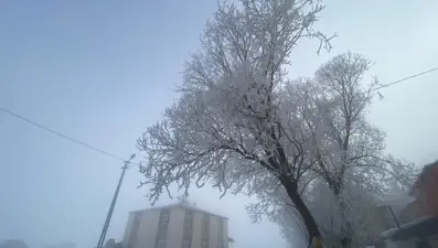 Göle eksi 18 dereceyi gördü