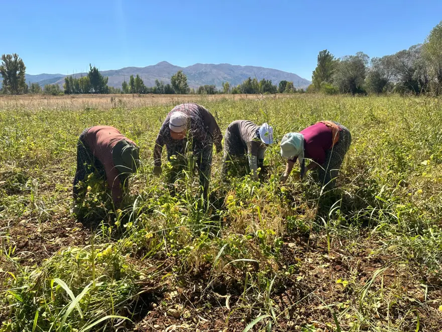 ‘SABAHTAN AKŞAMA KADAR ÇALIŞIYORUZ’ 4 ‘SABAHTAN AKŞAMA KADAR ÇALIŞIYORUZ’ 4