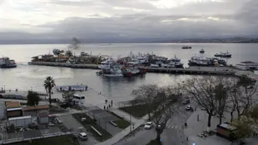Balıkçıların yüzünü güldürdü: Karadeniz'in her tarafında var