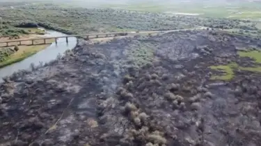 Çankırı’da yangın: 80 dönümlük mera kül oldu