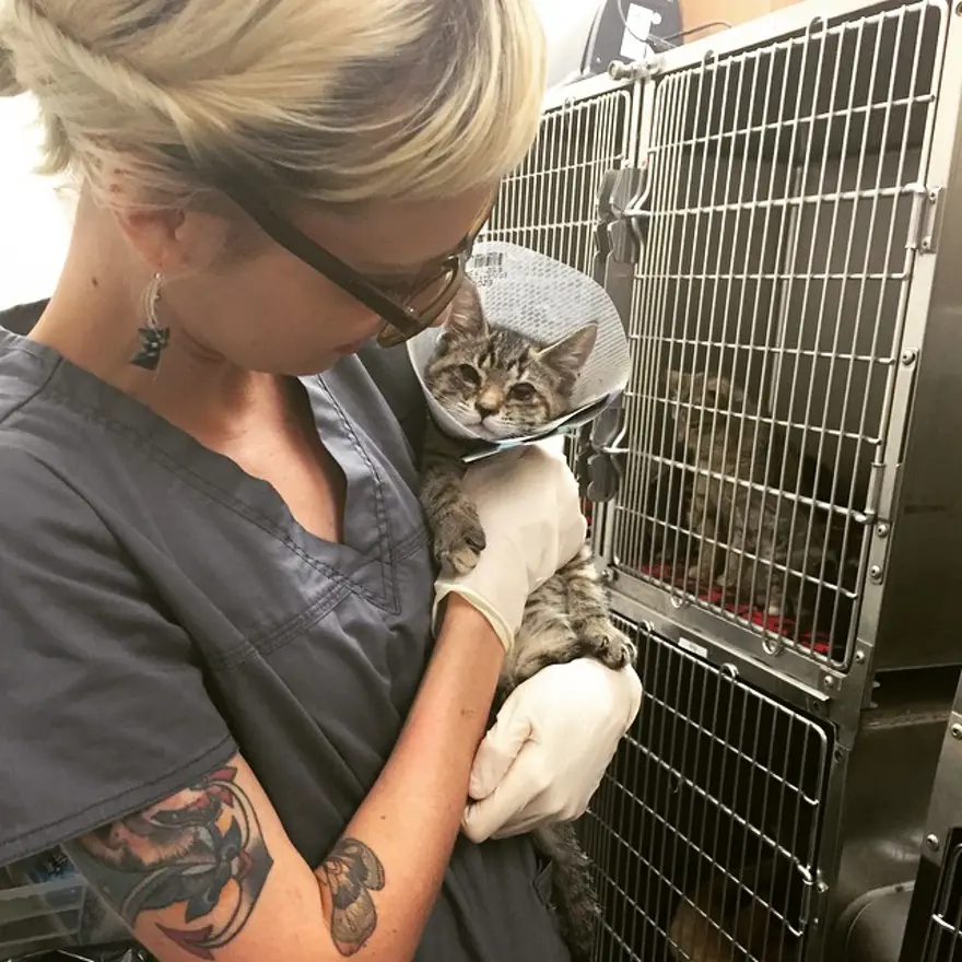 Hayatını kedileri kurtarmaya adadı 200