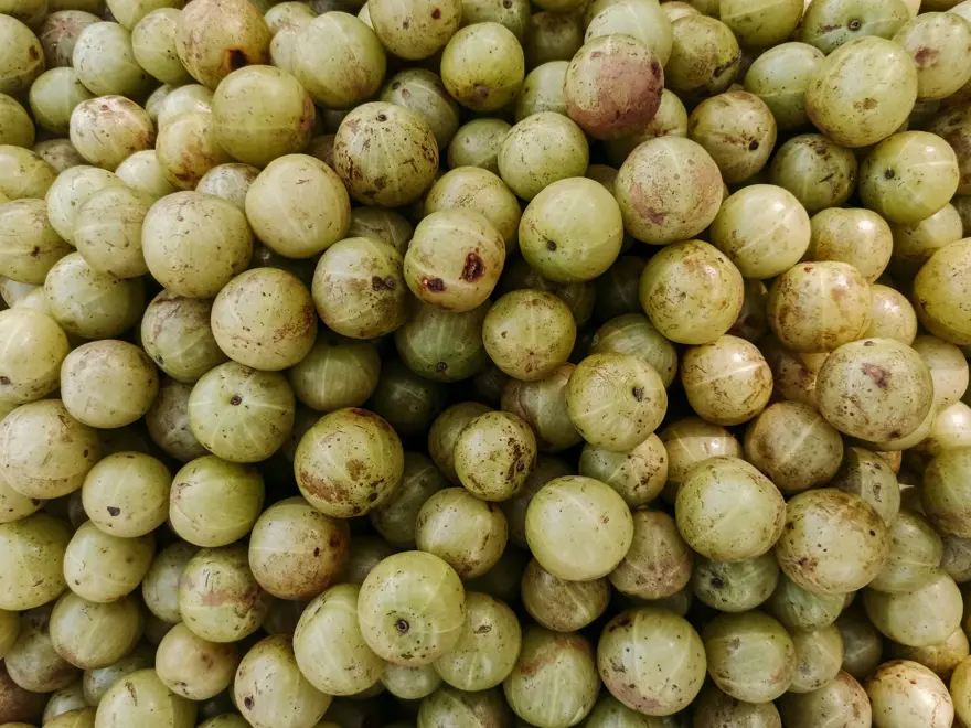 GÜÇLÜ DAMAR FONKSİYONU 3