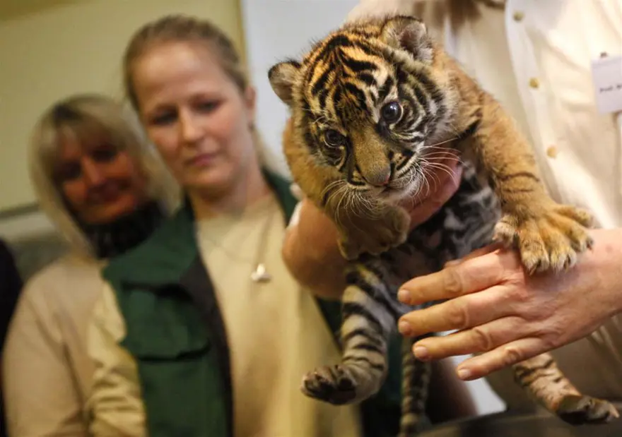 26 yıl bekletti, annesi reddetti 4
