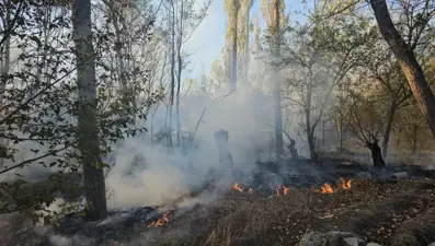 Çorum'da ağaçlık alanda yangın: 620 dönüm arazi zarar gördü