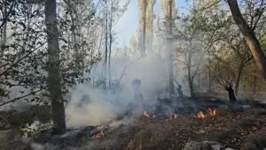 Çorum'da ağaçlık alanda yangın: 620 dönüm arazi zarar gördü
