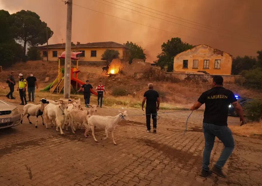 Ödemiş'te kahreden fotoğraflar: Alevlerden kaçış 12 Ödemiş'te kahreden fotoğraflar: Alevlerden kaçış 12