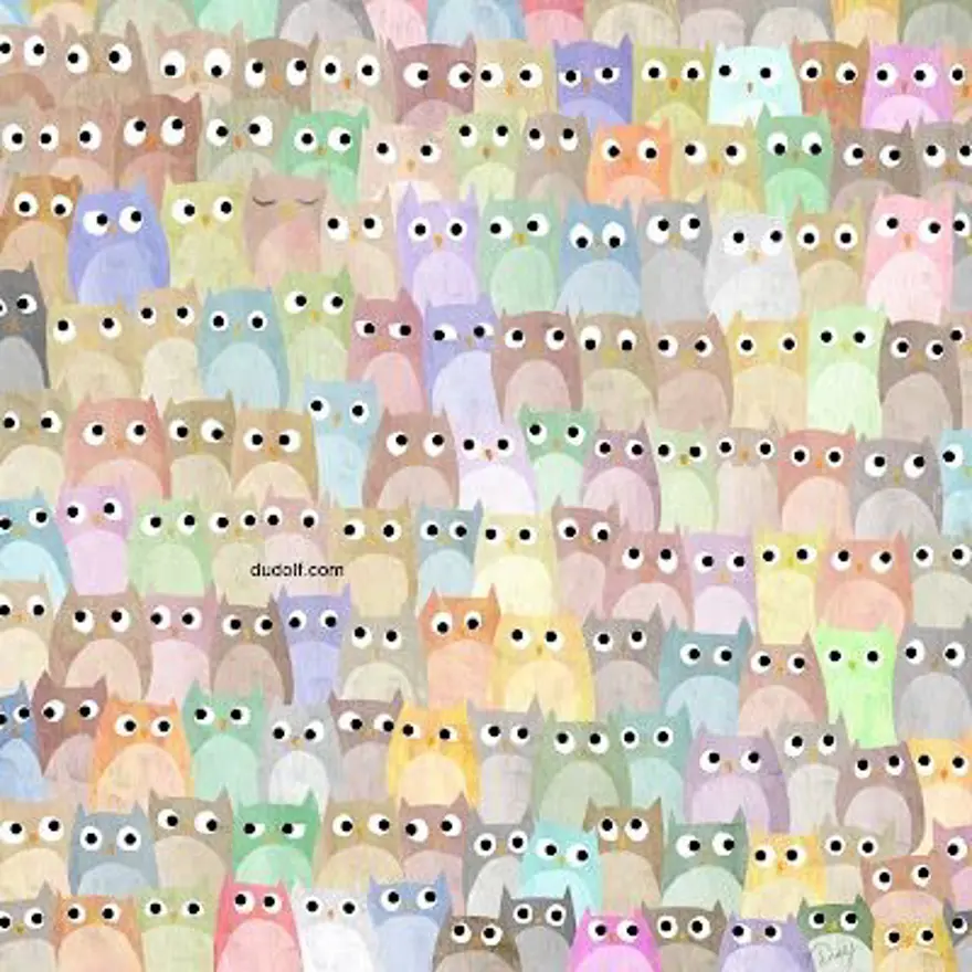 BAYKUŞLARIN İÇİNDE BİR KEDİ VAR 6