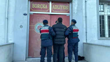 Artvin'de ormanda izinsiz kesimle ilgili bir kişiye gözaltı