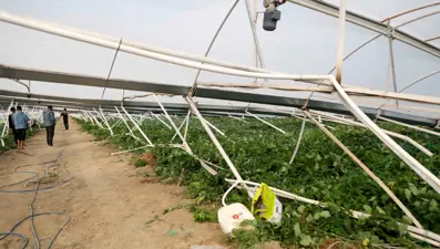 Hortum, 100 dönümlük serayı yıktı geçti