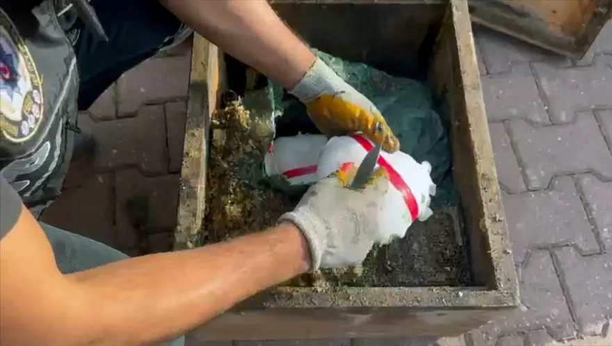 “Kraliçe arı taşıyoruz” dedi, kovanların içinden uyuşturucuçıktı 1