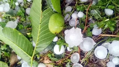 Mersin'de şiddetli dolu yağışı etkili oldu
