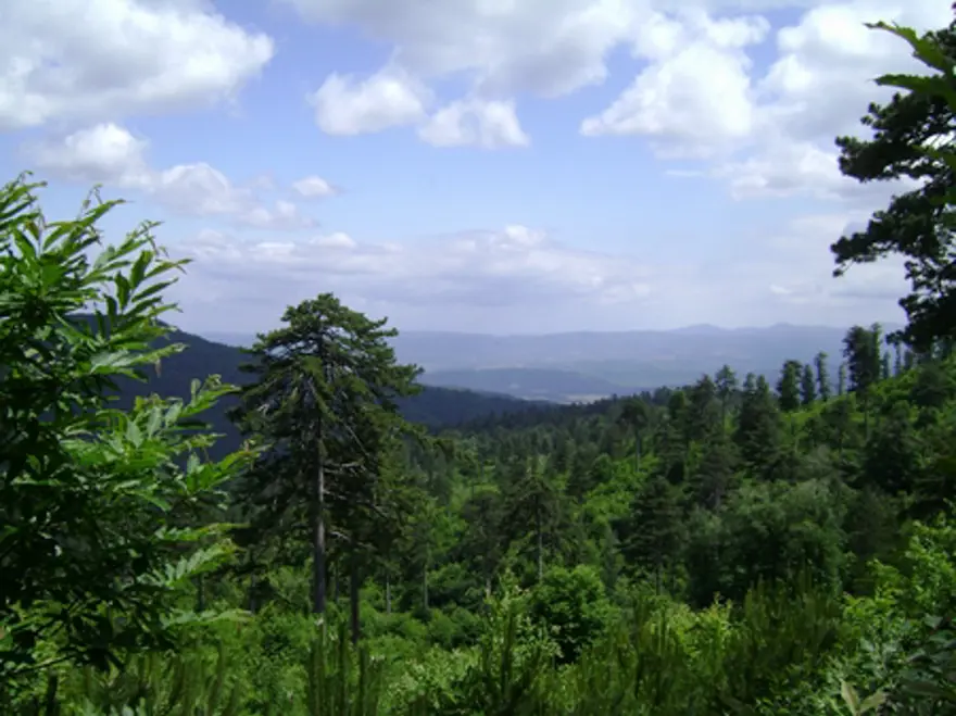 TARİH, OKSİJEN, TREKKİNG: KAZDAĞLARI 47 TARİH, OKSİJEN, TREKKİNG: KAZDAĞLARI 47