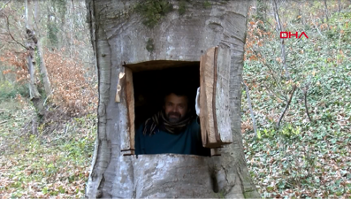 Ağacı oyan "sincap adama" soruşturma (Aslında kendisini ağaçkakan zannediyor)