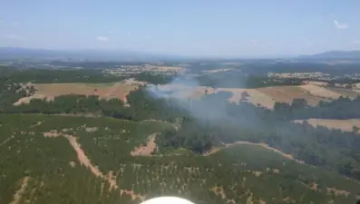 Çanakkale'de orman yangını kontrol altına alındı