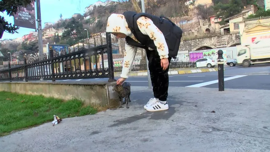 Beşitaş sahilinde dalgıçlarla kedi kurtarma operasyonu 4