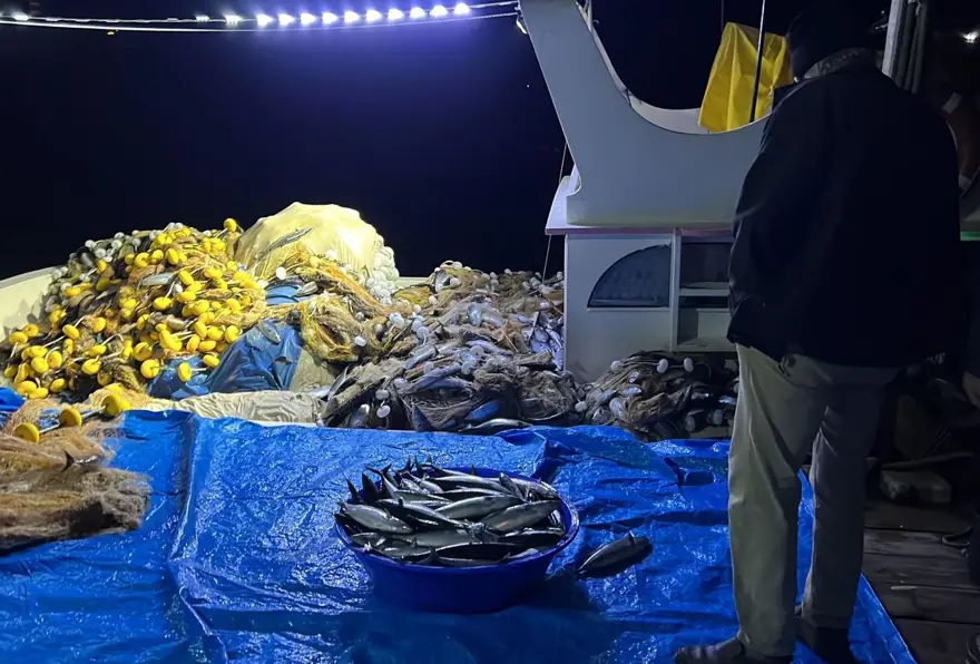 Bolluk yaşandı: Bir gecede 3 bin 200 adet avladılar 2