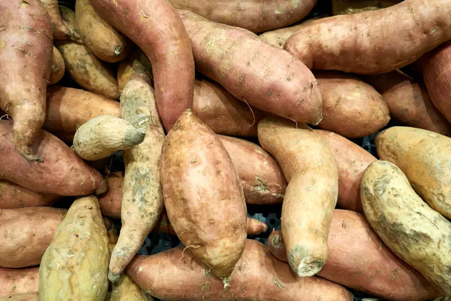 Çinlilerin uzun yaşam sırrı! Günde 1 tane yemek bile sayısız sağlık sorununa çare oluyor: Vitamin ve potasyum zengini 4