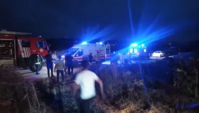 Bahçesindeki ağacı keserken altından kalıp öldü