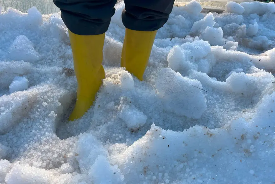 Antalya'da dolu seraları yıktı geçti 3