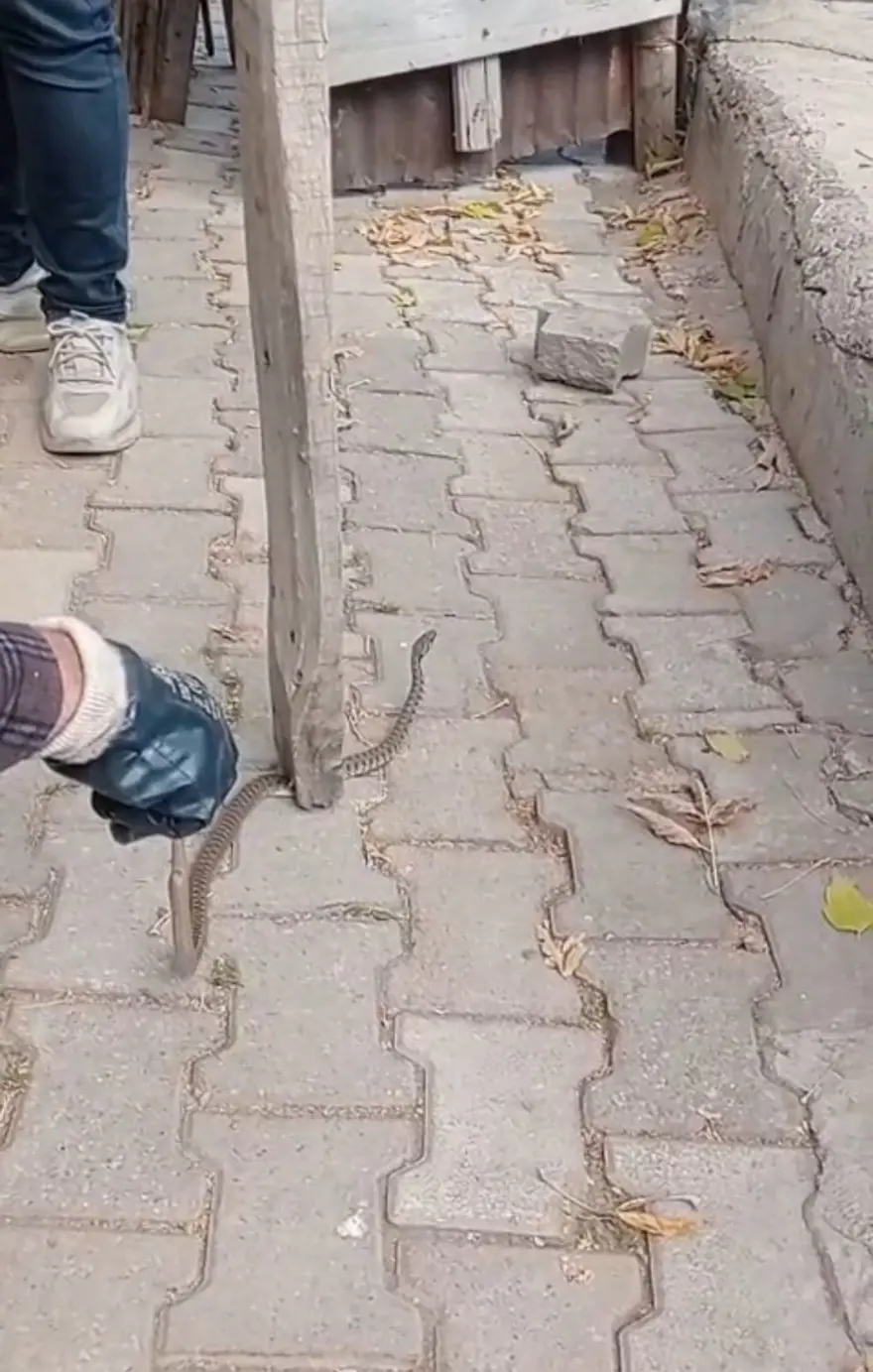 "ÖLDÜRMEDİK, YAŞAMA HAKKI VAR" 3