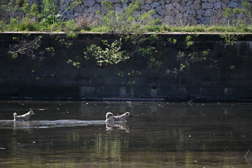 Tunca Nehri'nin dibi göründü 6 Tunca Nehri'nin dibi göründü 6