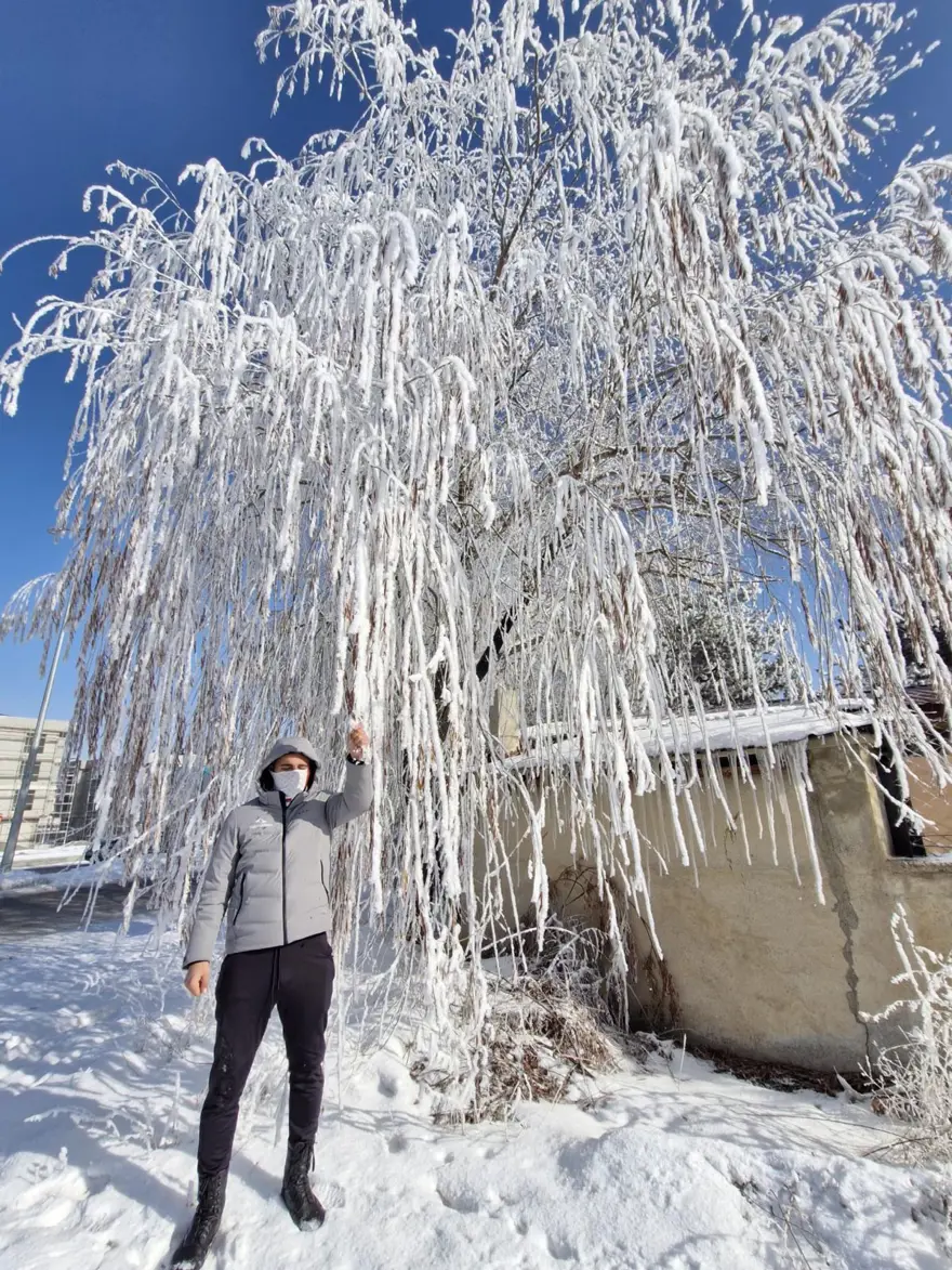 AĞAÇLAR KIRAĞIDAN BEYAZA DÖNDÜ 3
