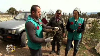 Zor İşler 31. Bölüm