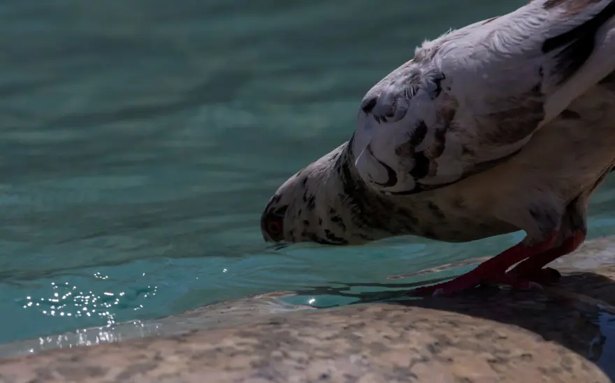 2023, en sıcak yıl olma yolunda ilerliyor 20